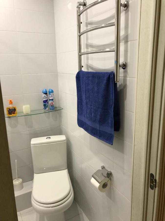 Sunny Apartment Overlooking The Royal Village キエフ エクステリア 写真
